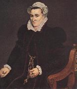 POURBUS, Frans the Elder Portrait of a Woman igtu oil